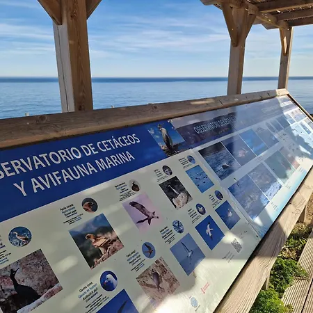 Les Rotes Con Vistas Al Mar *